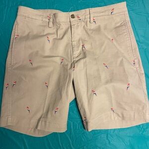 Chaps Parrot Khaki Shorts